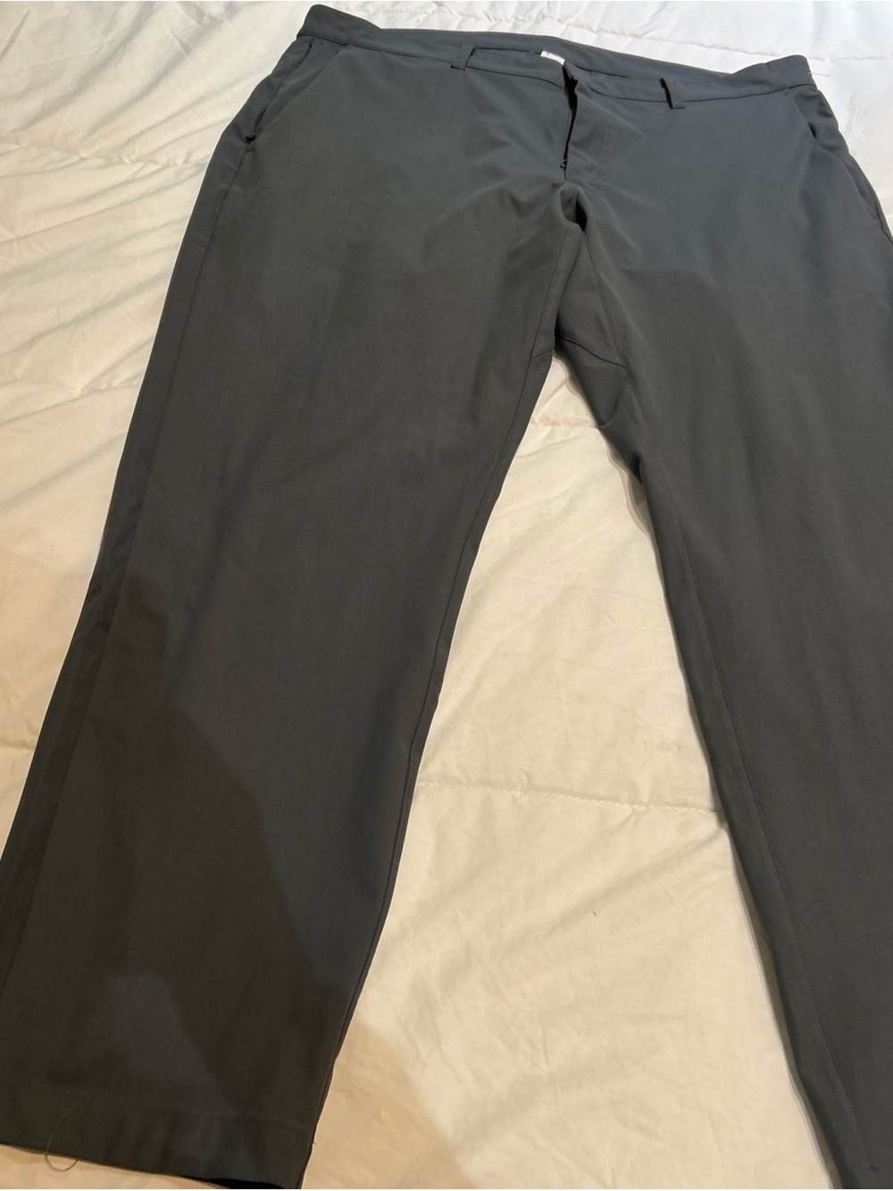 Fabletics Pants Mens Size 38x32 The Only Pant Classic Fit Zip Pockets Flat Front